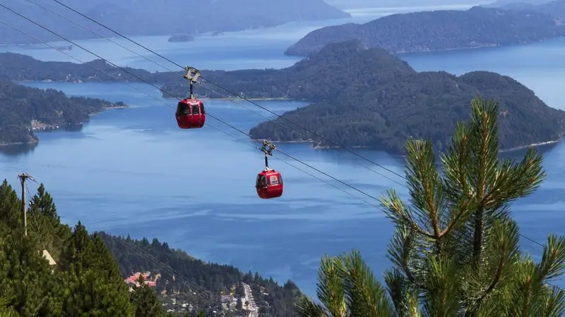 BARILOCHE - EL BOLSON | CAMPO DE TULIPANES 
